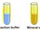 Polymerase Chain Reaction