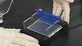 Preparation of the Agarose Gel