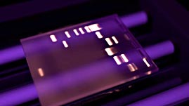 Electrophoresis and Gel Analysis