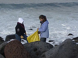 Students Cleaning a Beach 