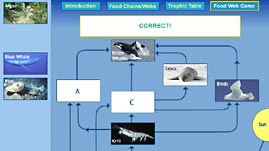 Antarctic Food Web Game