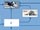 Antarctic Food Web Game