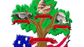 The Three Branches of Government