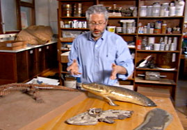 Paleontologist with Tiktaalik Models