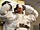 Next-Generation Space Suits