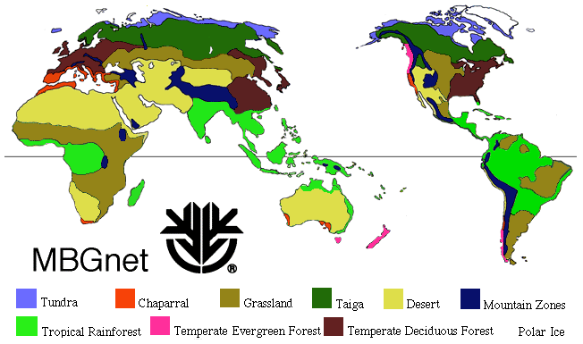 Biome World Map