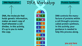 DNA Workshop