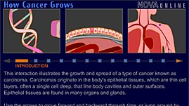 How Cancer Grows