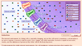 Cell Membrane: Just Passing Through