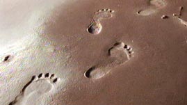 Laetoli Footprints