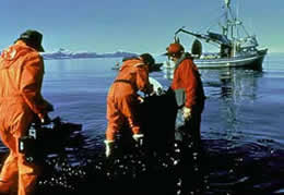 Cleanup efforts on ship and shore are documented for training new cleanup personnel.